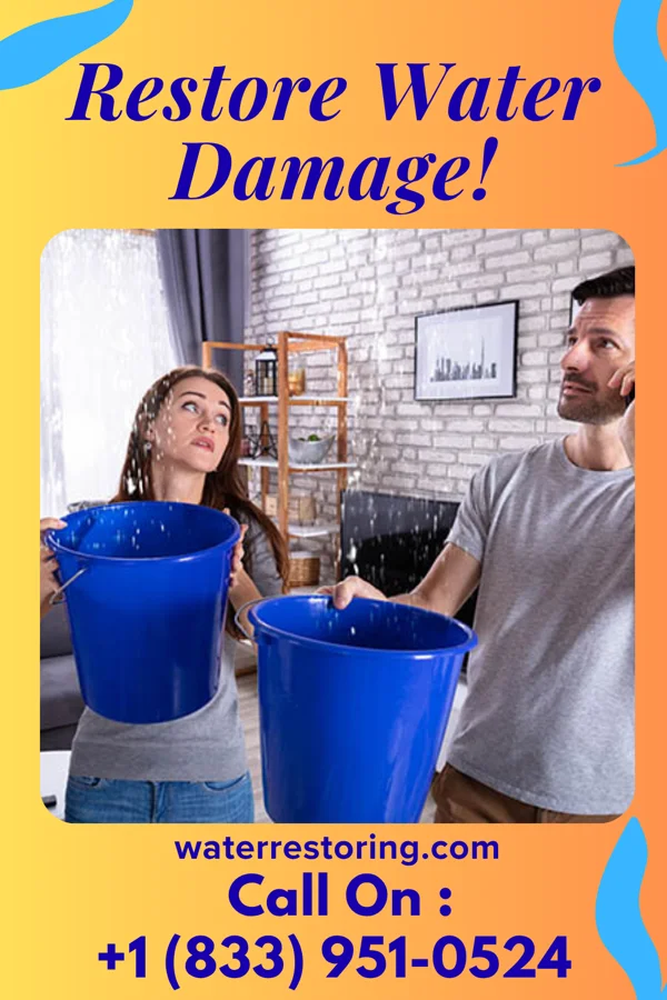 water restoration Master Recovery Co Clairton