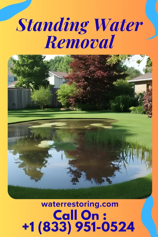 Standing Water Removal in Clairton, PA